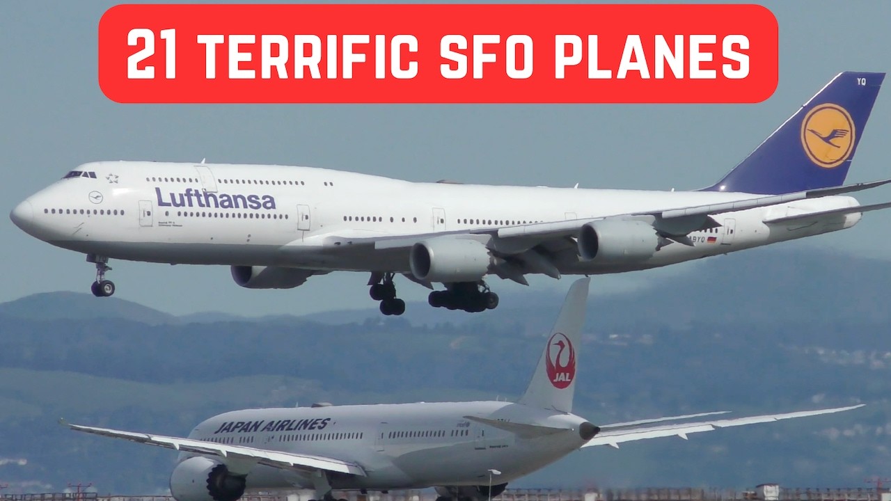 21 TERRIFIC SFO Planes - San Francisco Plane Spotting - Lufthansa, Swiss, British, JAL, Vietnam, ANA