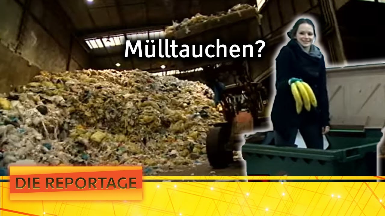 600 kg Müll pro Kopf? Die Müllsammler Österreichs | 1/2 | Die Reportage | ATV
