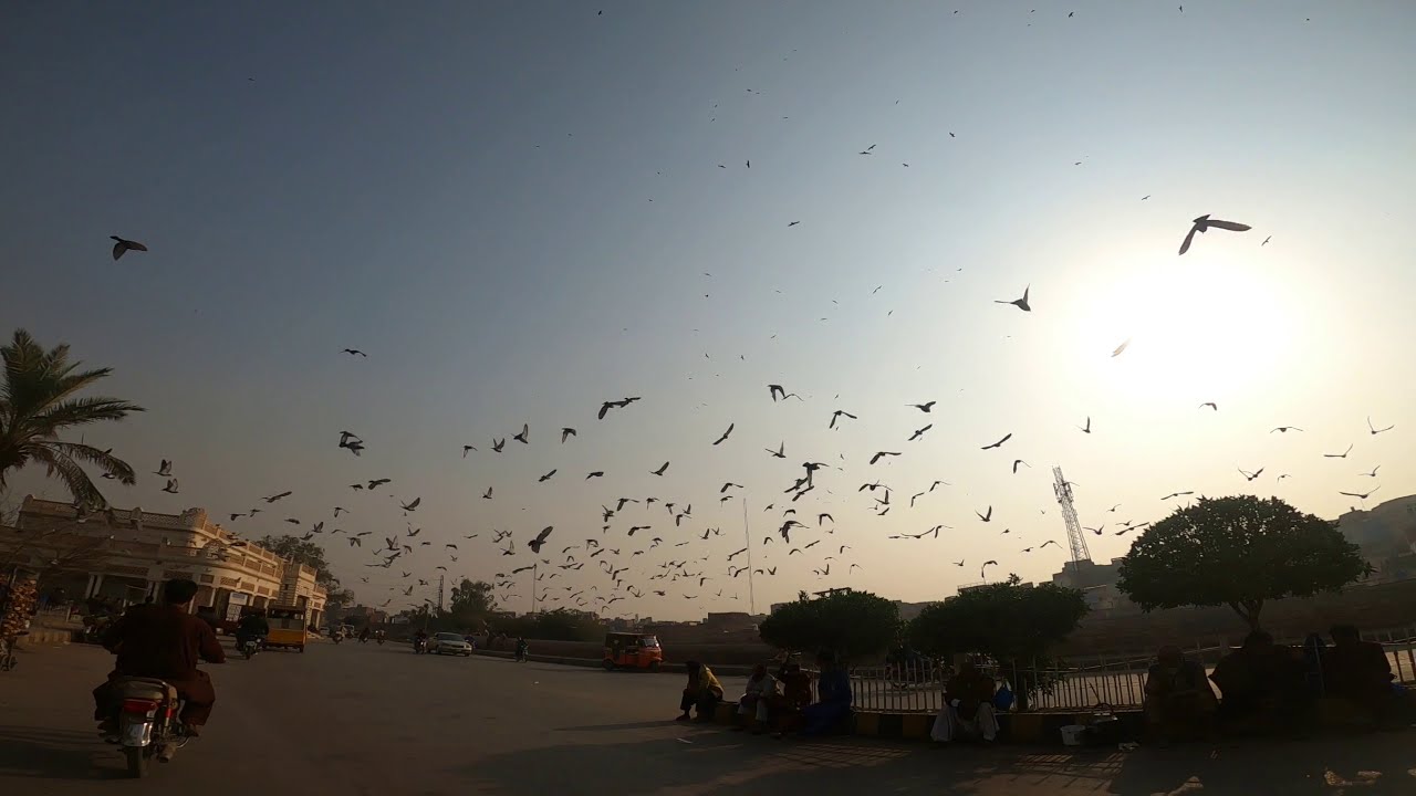 Qilla Kohna Qasim Bagh | Multan