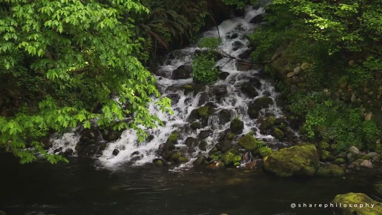 30‑Minute Relaxing Waterfall Sleep Meditation | Calm Guided Meditation for Deep Rest | Rainforest 