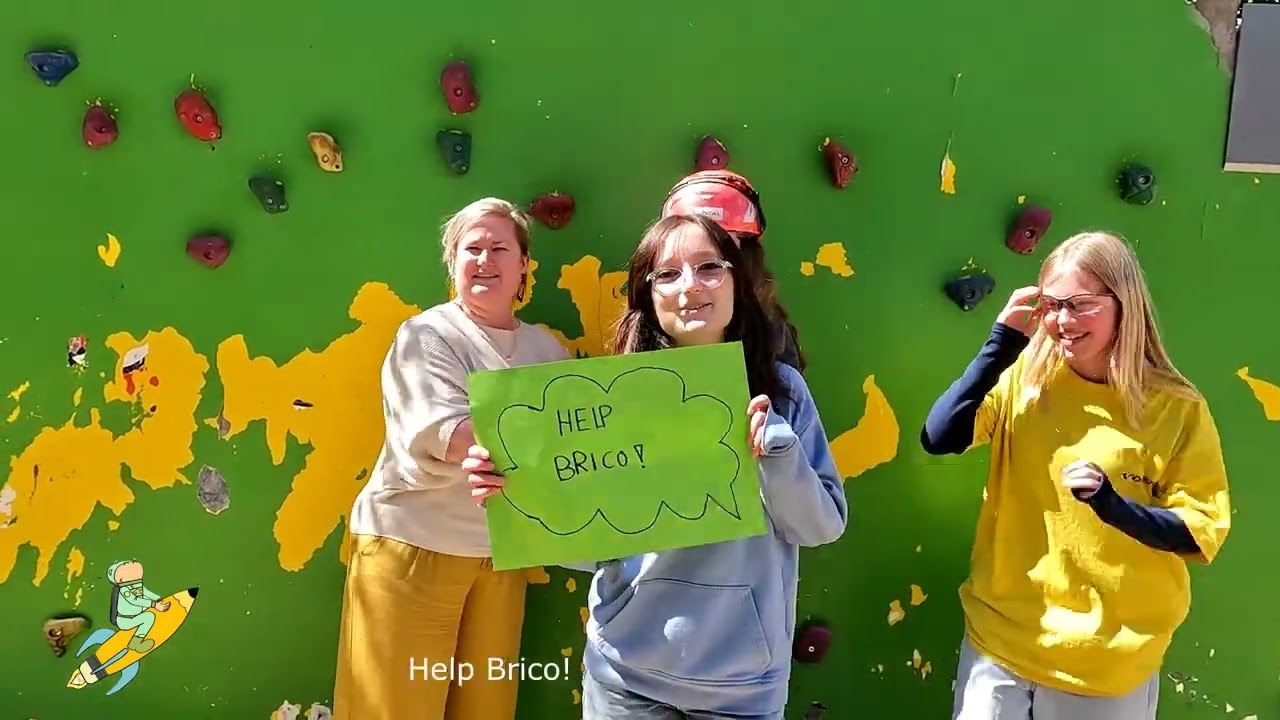 Brico Help VLS Wonderster Lede