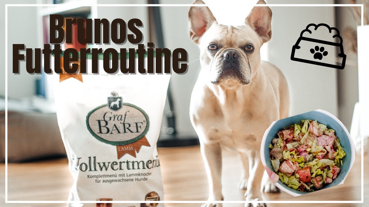 BRUNOS FUTTERROUTINE MIT GRAFBARF