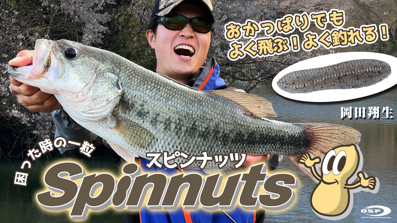 【スピンナッツ】おかっぱりでもよく飛ぶ！よく釣れる！困った時の一粒スピンナッツ実釣解説 by 岡田翔生