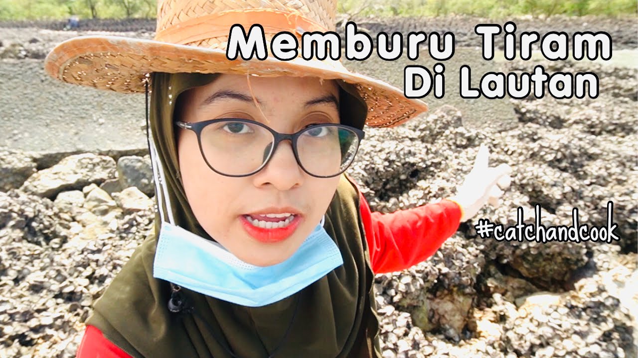Misi Mencari Tiram Segar | Catch and Cook