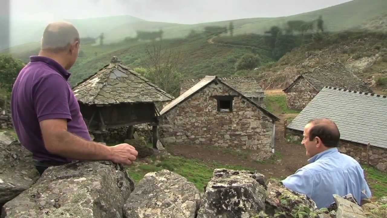 Braña de La Viña