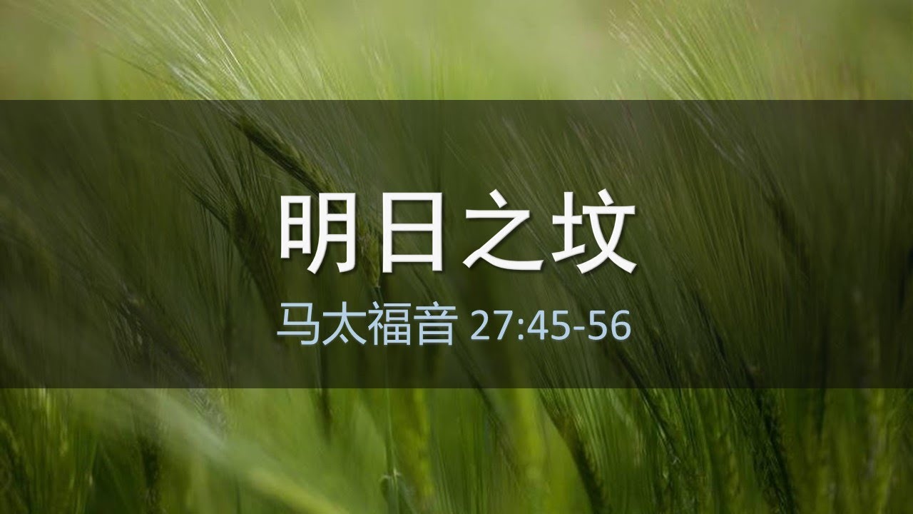 马太福音第38课：明日之坟（27:62-66）。一代赌徒之死：父亲节与Manitoba crash。三年大瘟疫之后的床戏：布林肯与盖茨跪拜天安门祭坛。香港之死真相：钟马田提姆凯勒大卫鲍森的非政治话术。