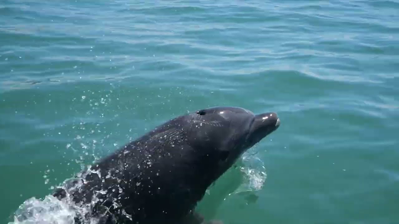 Costa Rica Travel Cinematic Video