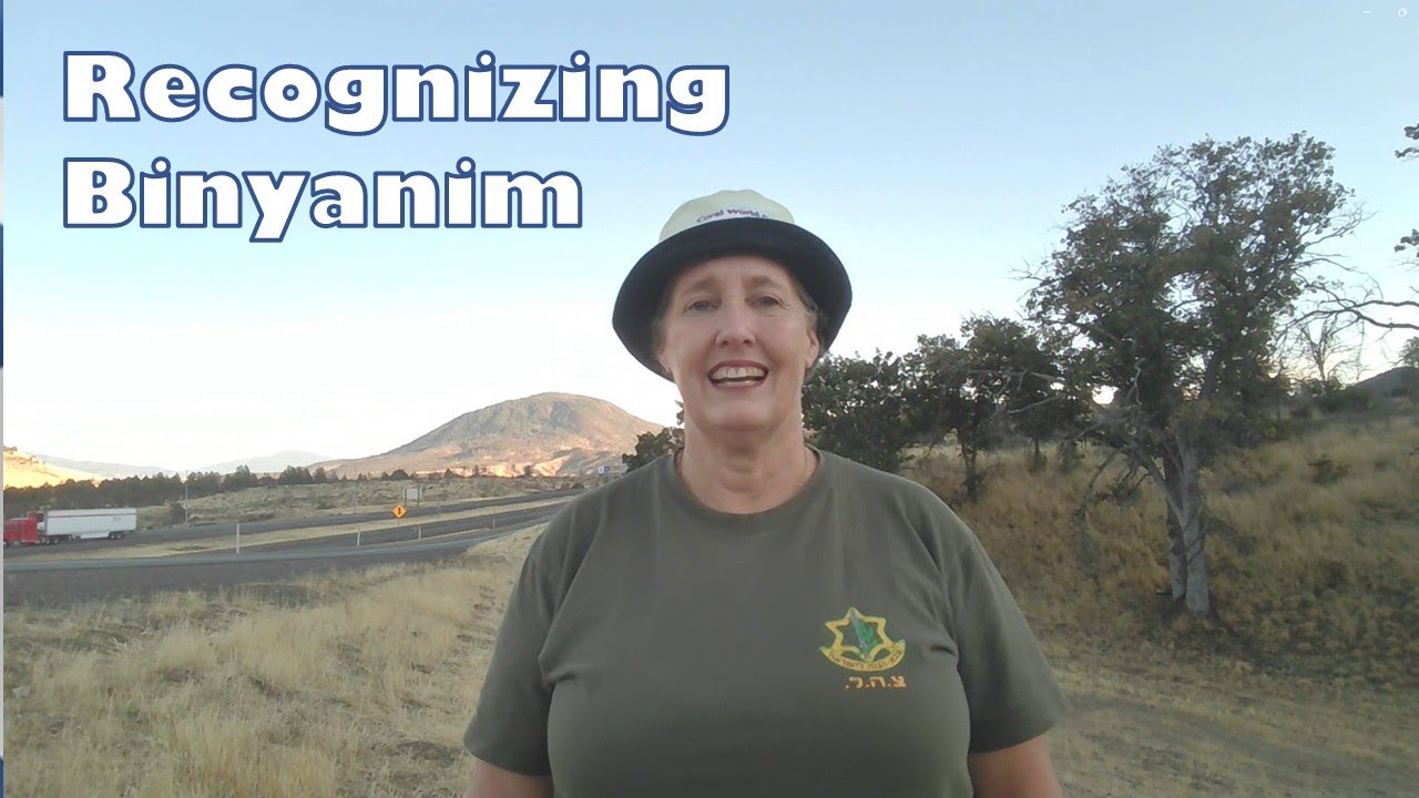 G11 Recognizing Binyanim