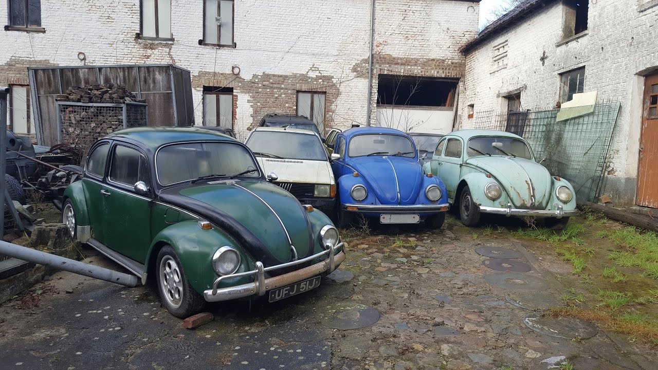 Abandoned Car graveyard Biofuel Farm