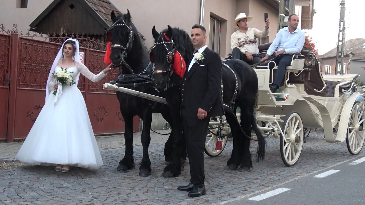 Nunta de poveste, Nunta lui Vasile&Madalina   Calata, Cluj - Romania  - 2025 Nou!!!