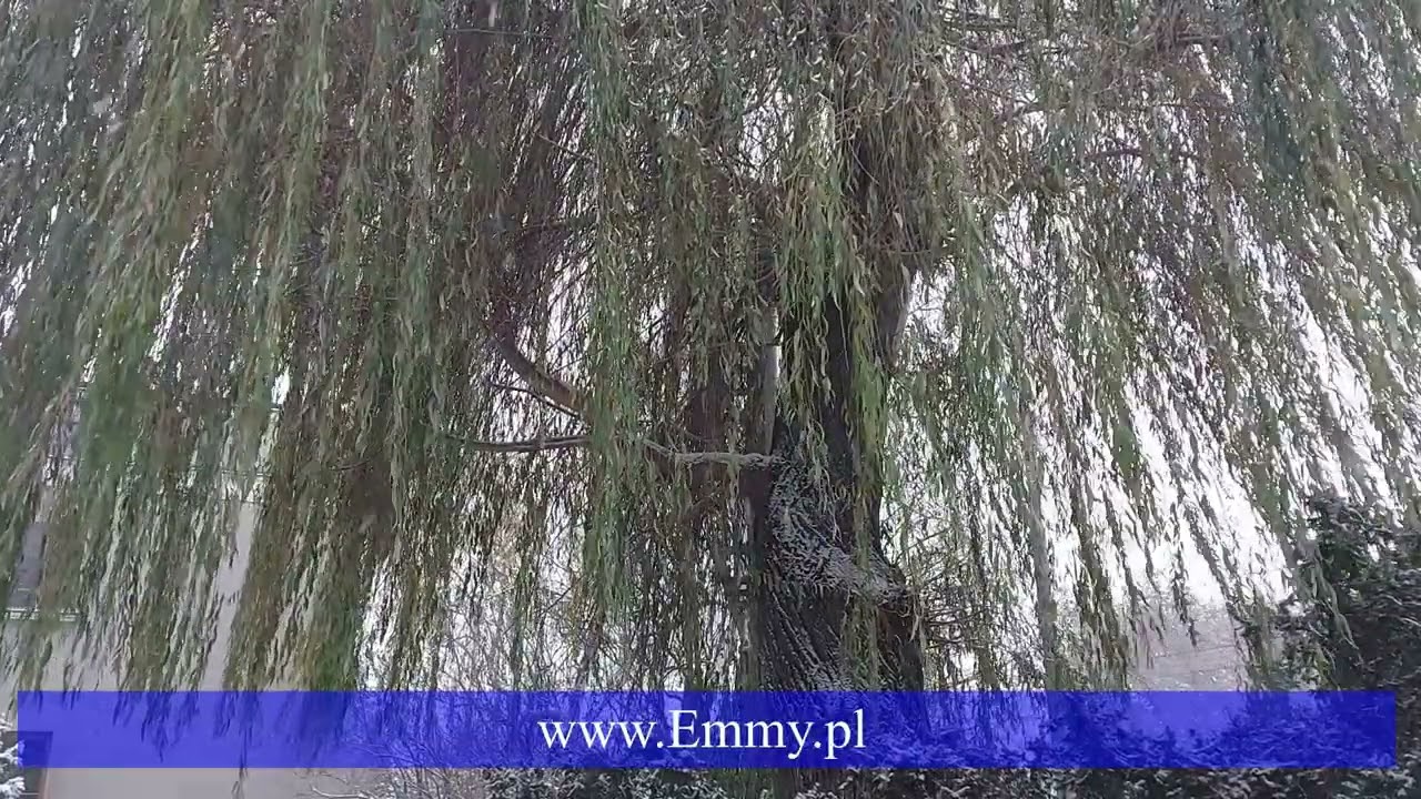 Podcast: What is missions and why this podcast?