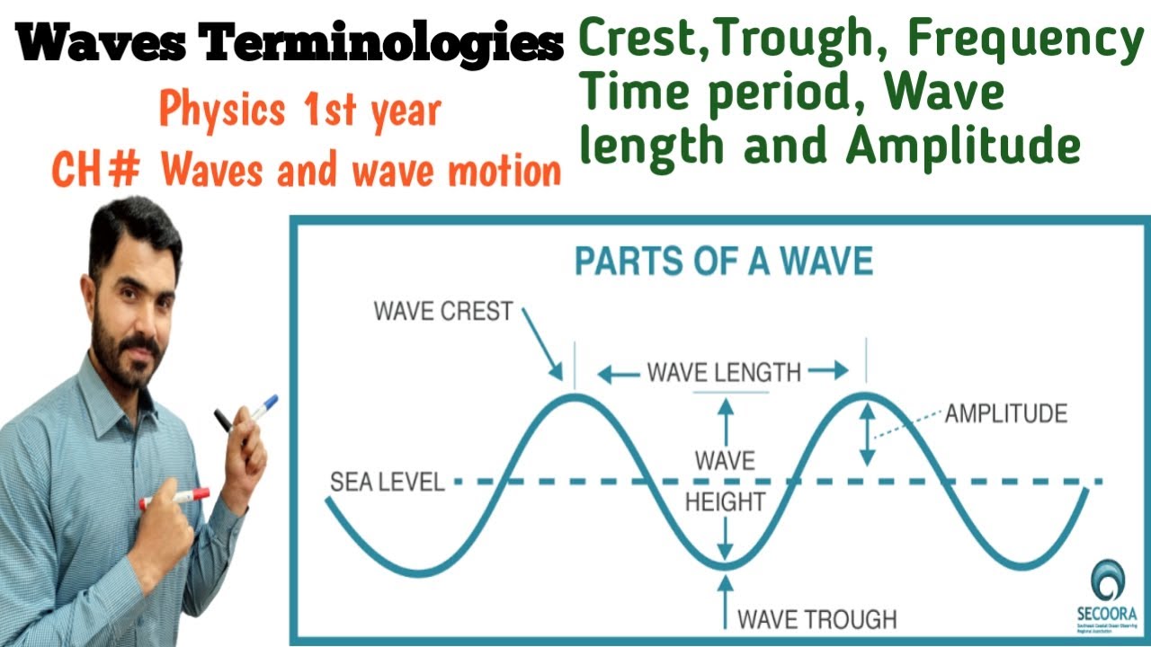 L-4 Wave Terminologies, Crest and trough, Frequency, Time period, Wave Length Amplitude