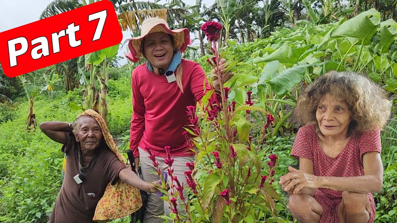 Part 7 BAHAY KUBO SA TUKTOK NG BUNDOK NAKAKAAWA ANG KALAGAYAN 1 LINGGO NA WALANG BIGAS MAISAING
