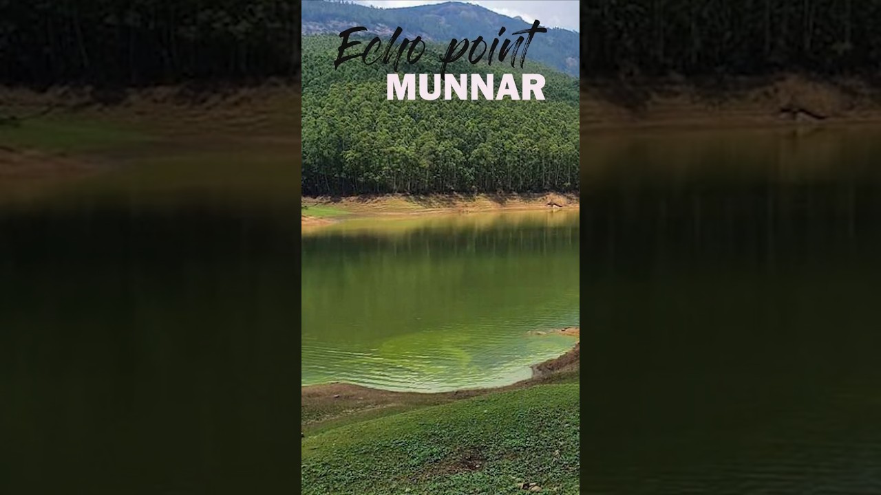 Echo Point Munnar 🌿 | Hear Your Voice Echo in Kerala’s Hills | Must Visit Spot 