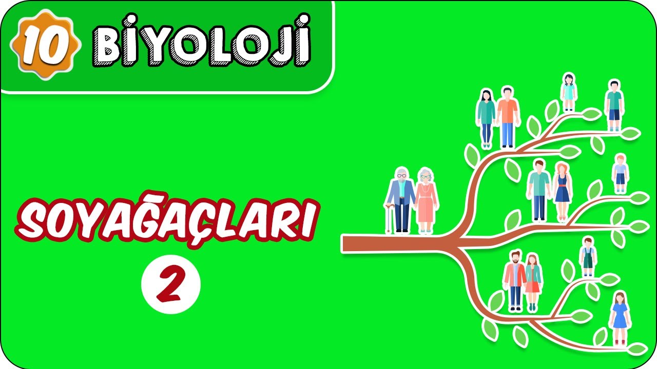 Soyağaçları -2 | 10. Sınıf Biyoloji