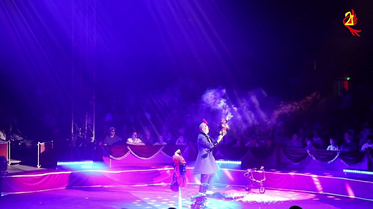 Festival du cirque Internationale des Mureaux 2025