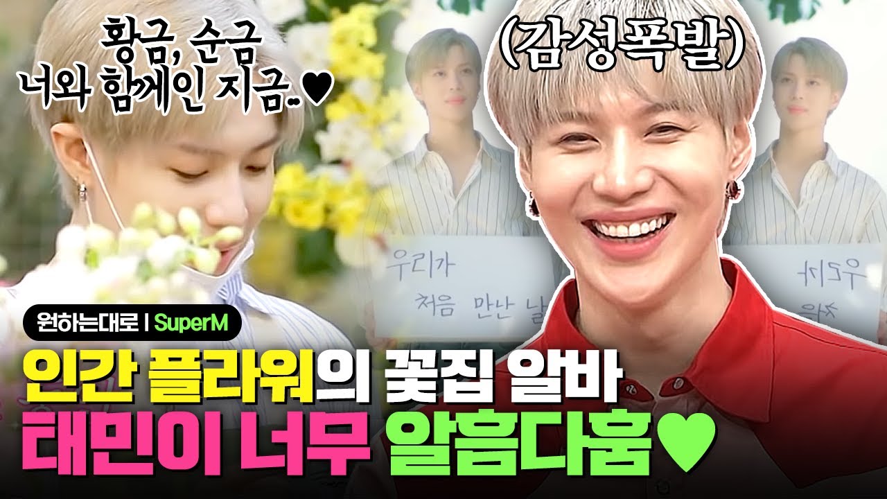 손님 고백에 더 신난 태민(TAEMIN)의 꽃집 알바기! 스케치북에 이어 꽃의 감성에도 제대로 물든 태민( ੭ ̇ᗜ ̇ )੭ | #원하는대로