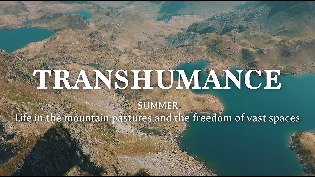 Transhumance - SUMMER - Life in the mountain pastures and the freedom of vast spaces