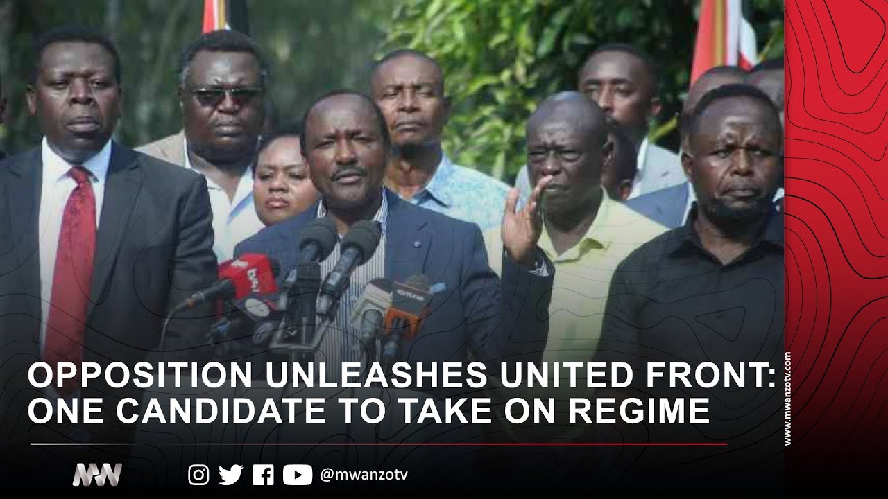OPPOSITION UNLEASHES UNITED FRONT: ONE CANDIDATE TO TAKE ON REGIME