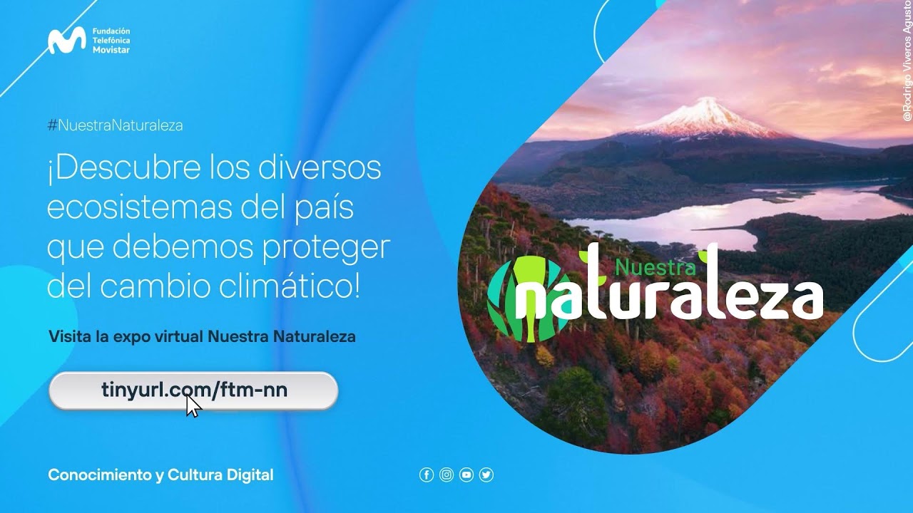 Diplomado: Diseño y Gestión Ágil de Proyectos