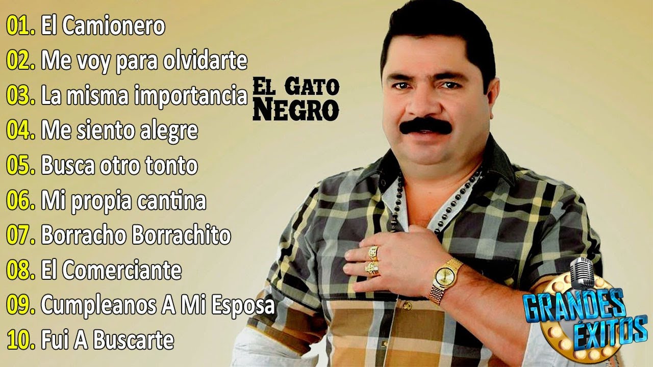El Gato Negro Mix - Mix Grandes Éxitos | Música Popular Colombiana