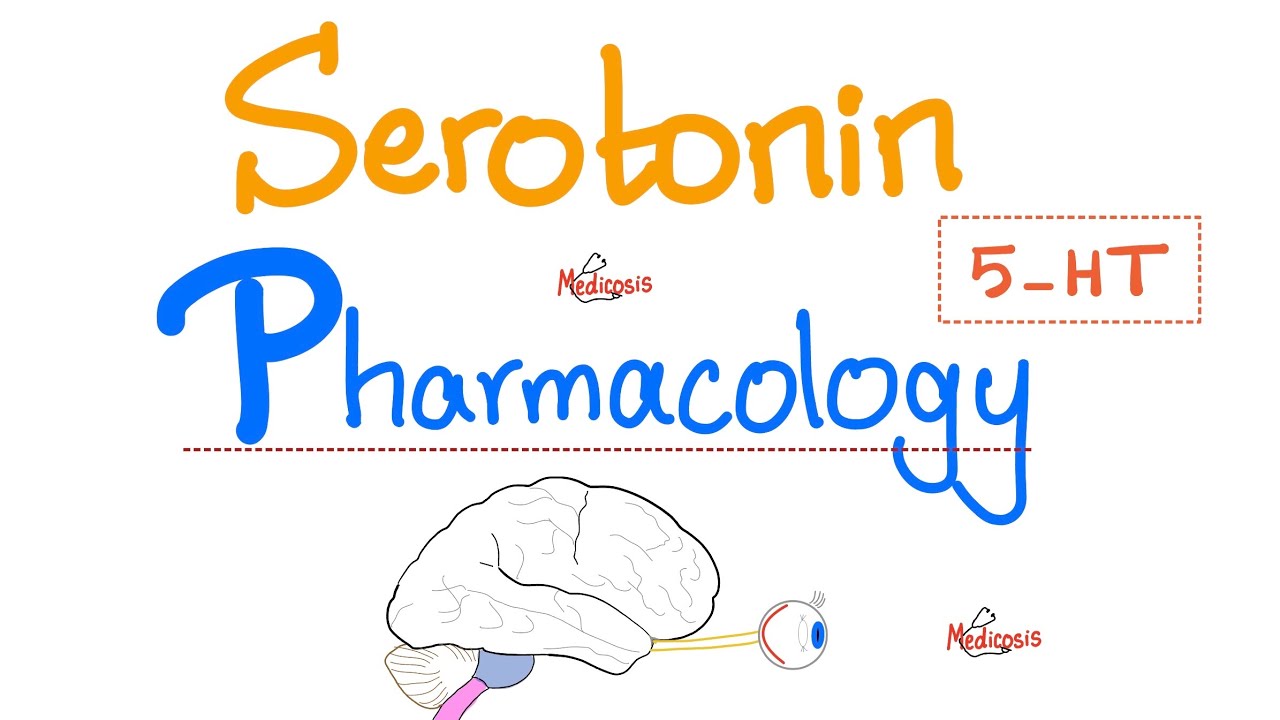 Neurotransmitters - Serotonin (5-HT) - Pharmacology