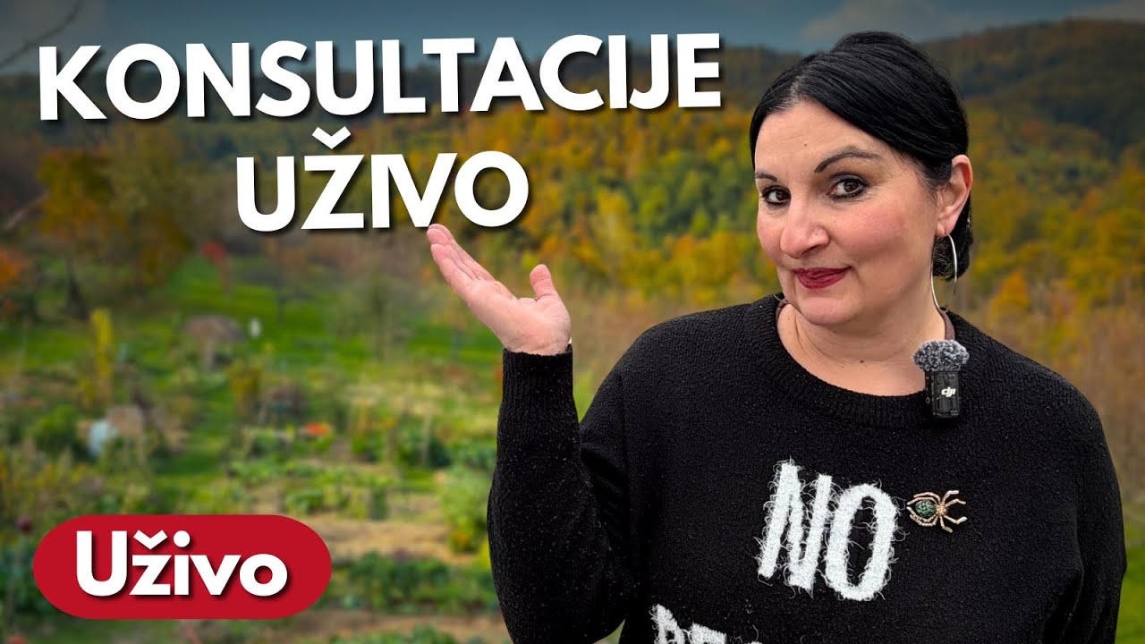 Odgovaram Na Vaša Pitanja - Konsultacije Uživo