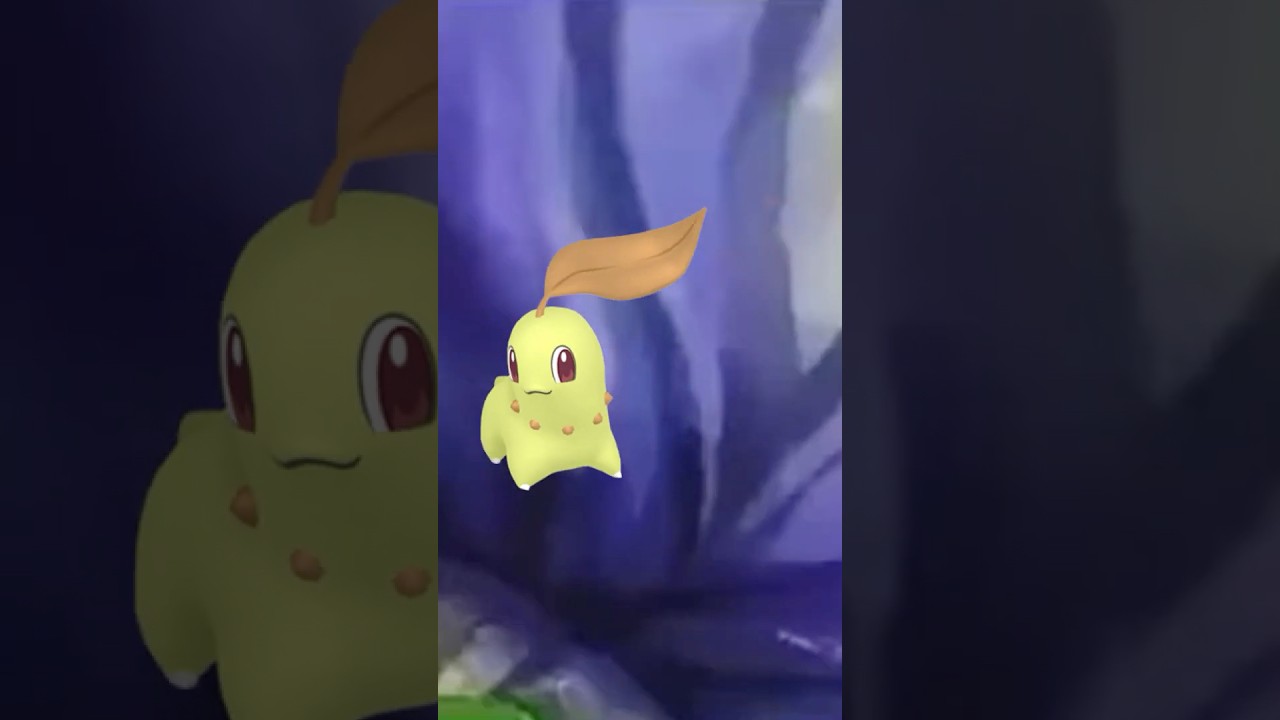Purplecliffe Fails a Shiny Chikorita in Pokemon Prop Hunt #prophunt #pokemon #purplecliffe #meme