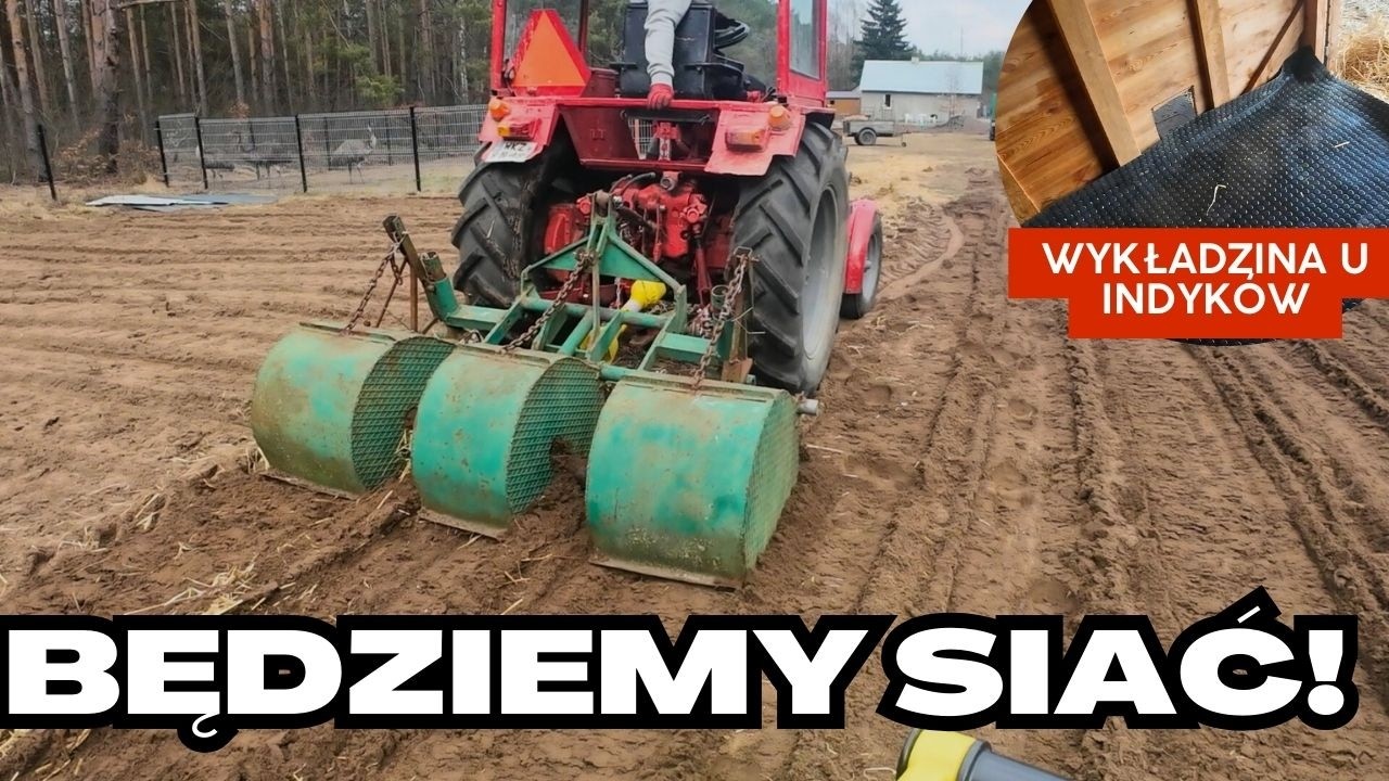 Przygotowanie podwórka pod nowy trawnik