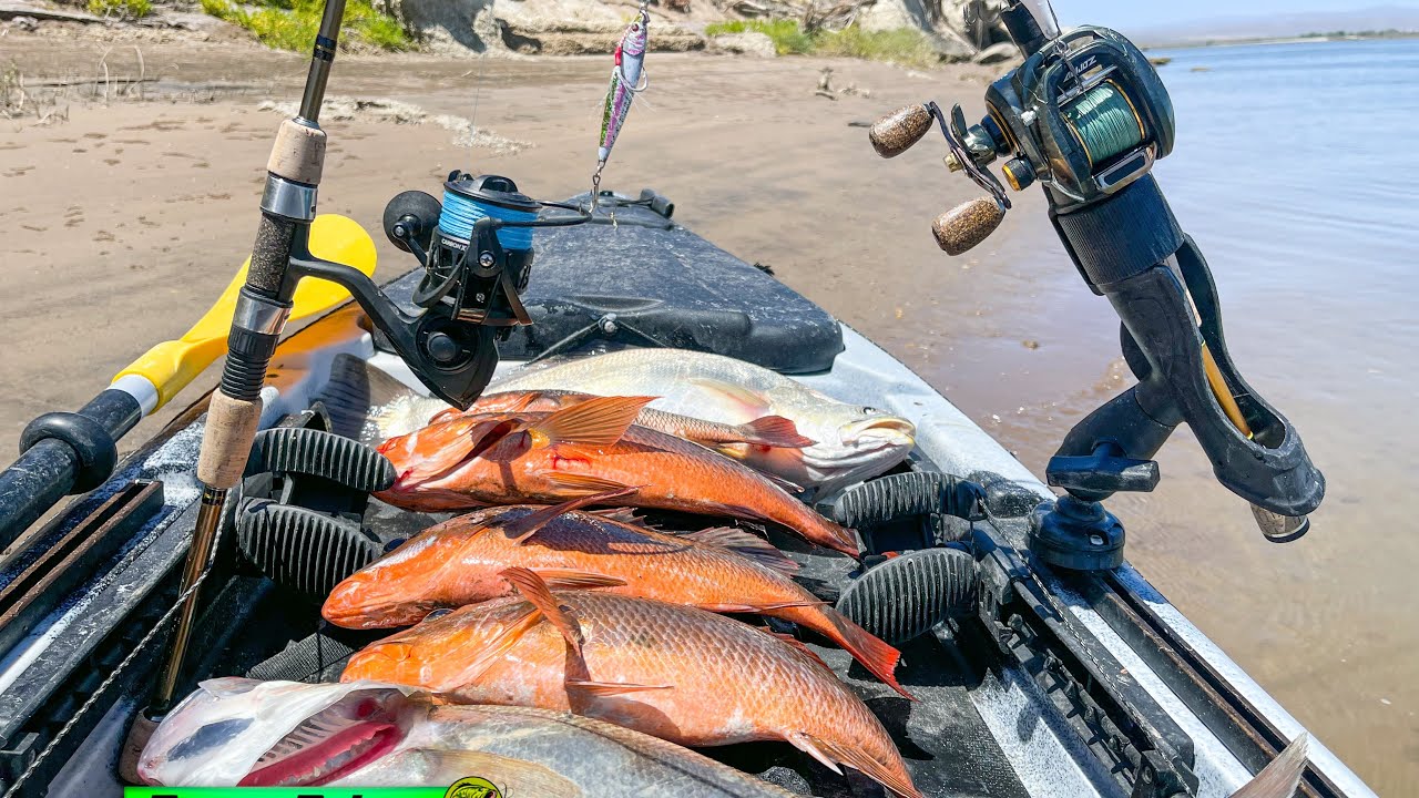 PESCA de PARGOS en ARROYO con JIGS de 40g y RATTLIN a MEDIA AGUA