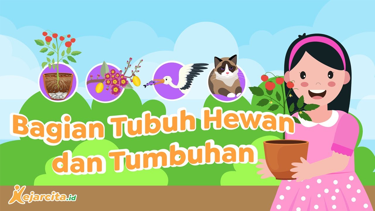 Bagian Tubuh Hewan dan Tumbuhan | IPA SD