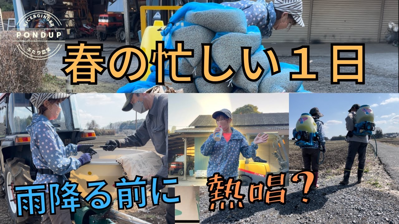 除草剤に肥料散布に種子消毒　雨降る前にやっつける　ポンの歌謡ショー#水稲 #農業 #夫婦