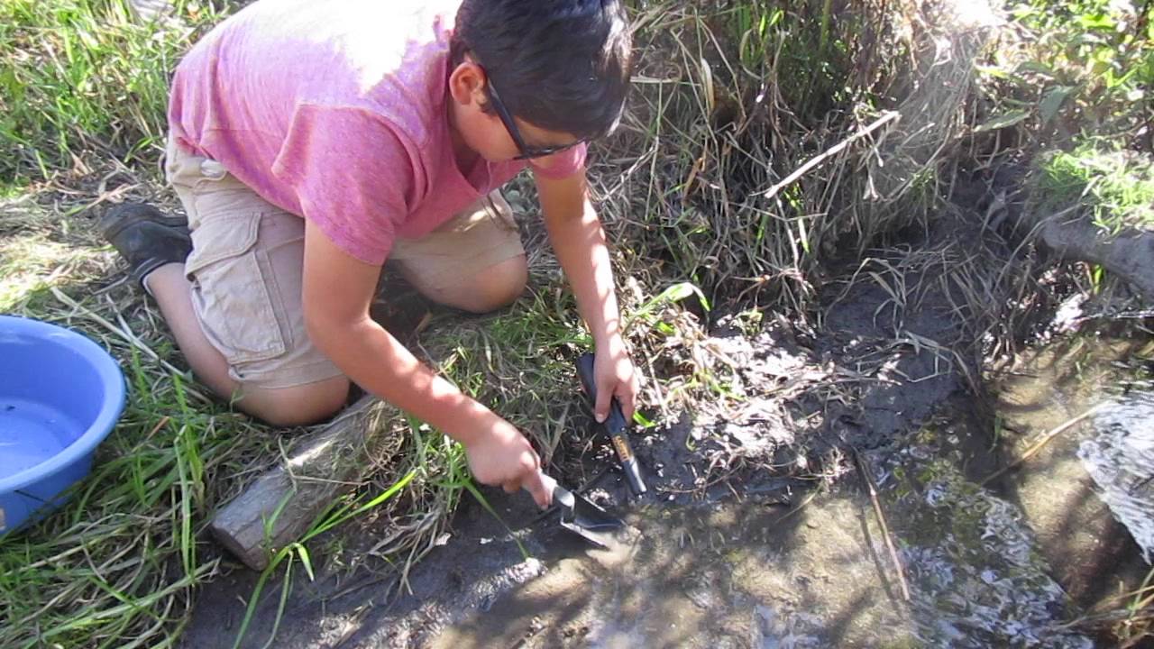 FINDING GOLD IN ONTARIO CANADA USING GARRETT PRO-POINTER!