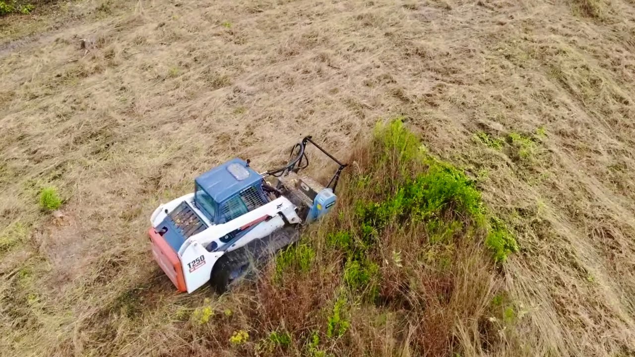 Using a forestry mulcher on overgrown field!