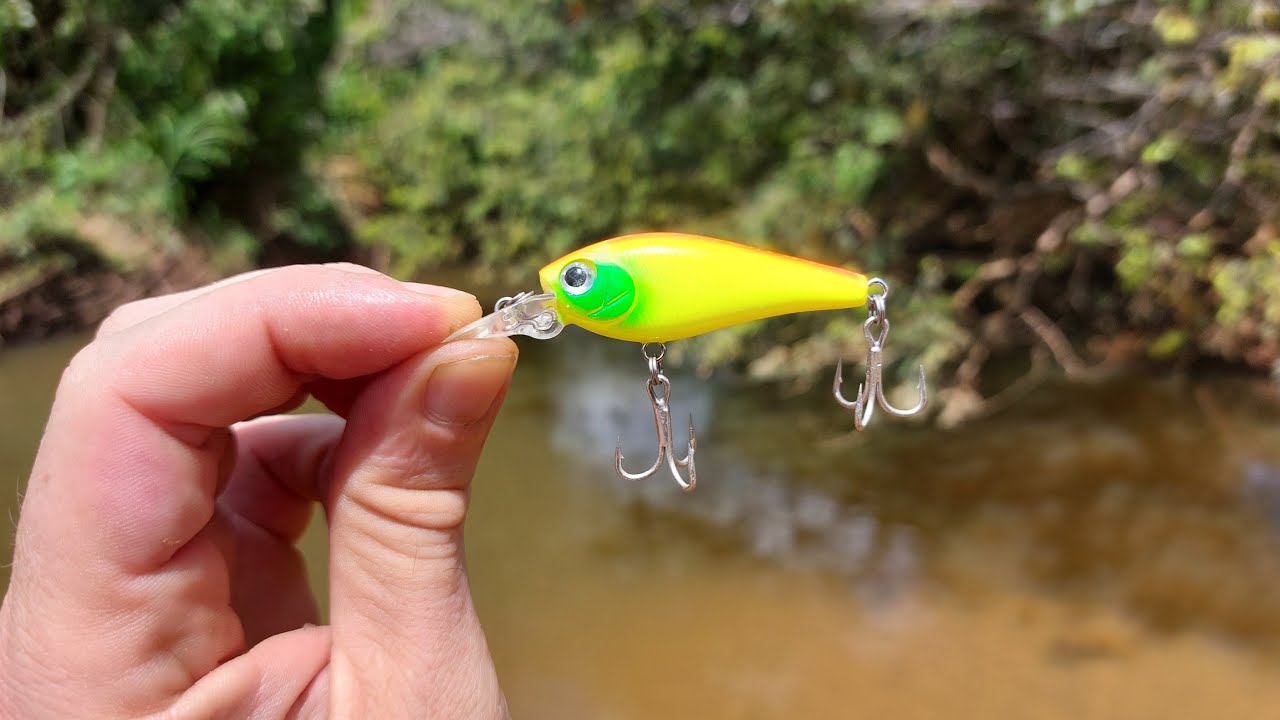 SENSACIONAL pescaria de ROBALO de barranco com a isca MAGIC DANCER 50 - isca muito produtiva