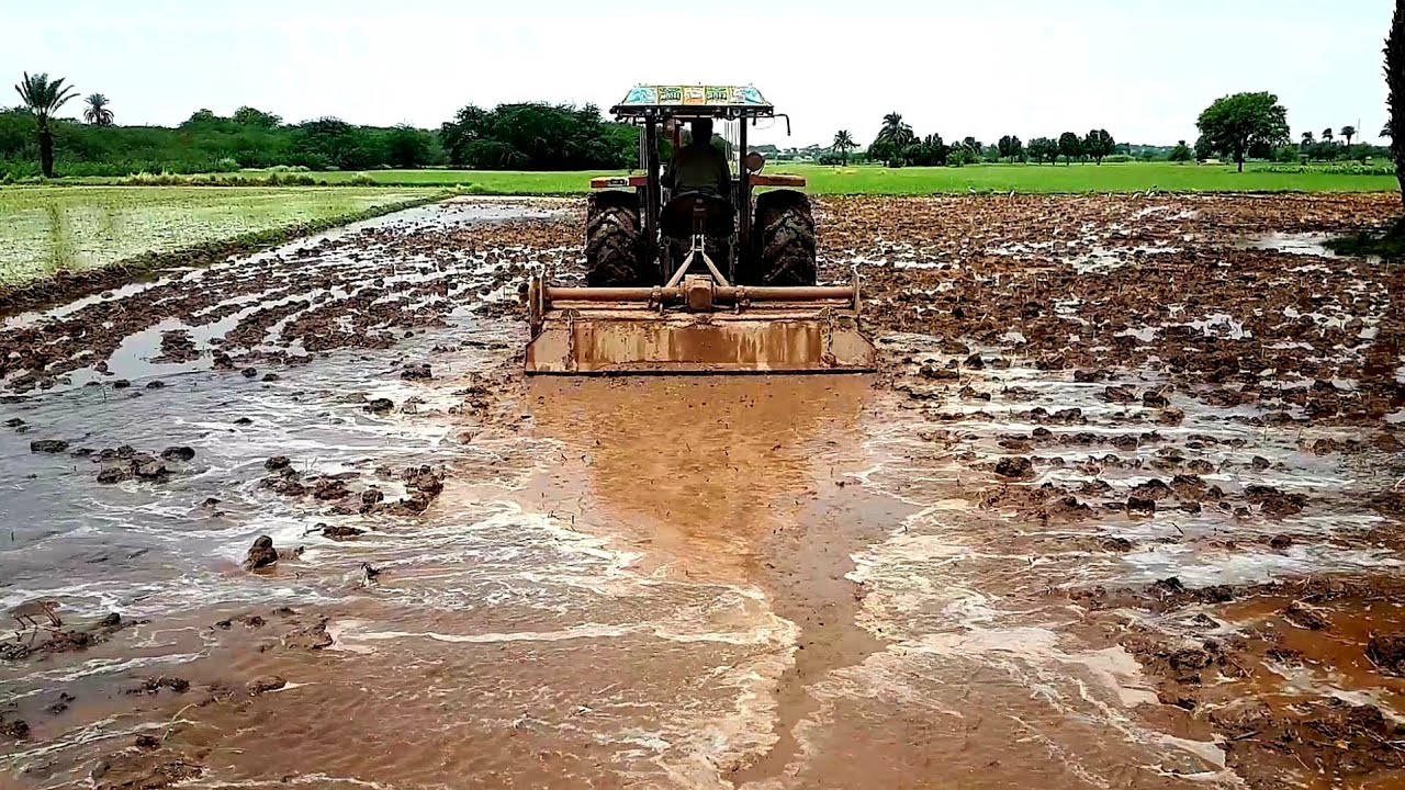Rotavator k sath zameen ko kaddu kasy krty hain |How to use rotavator during  preparation of paddy