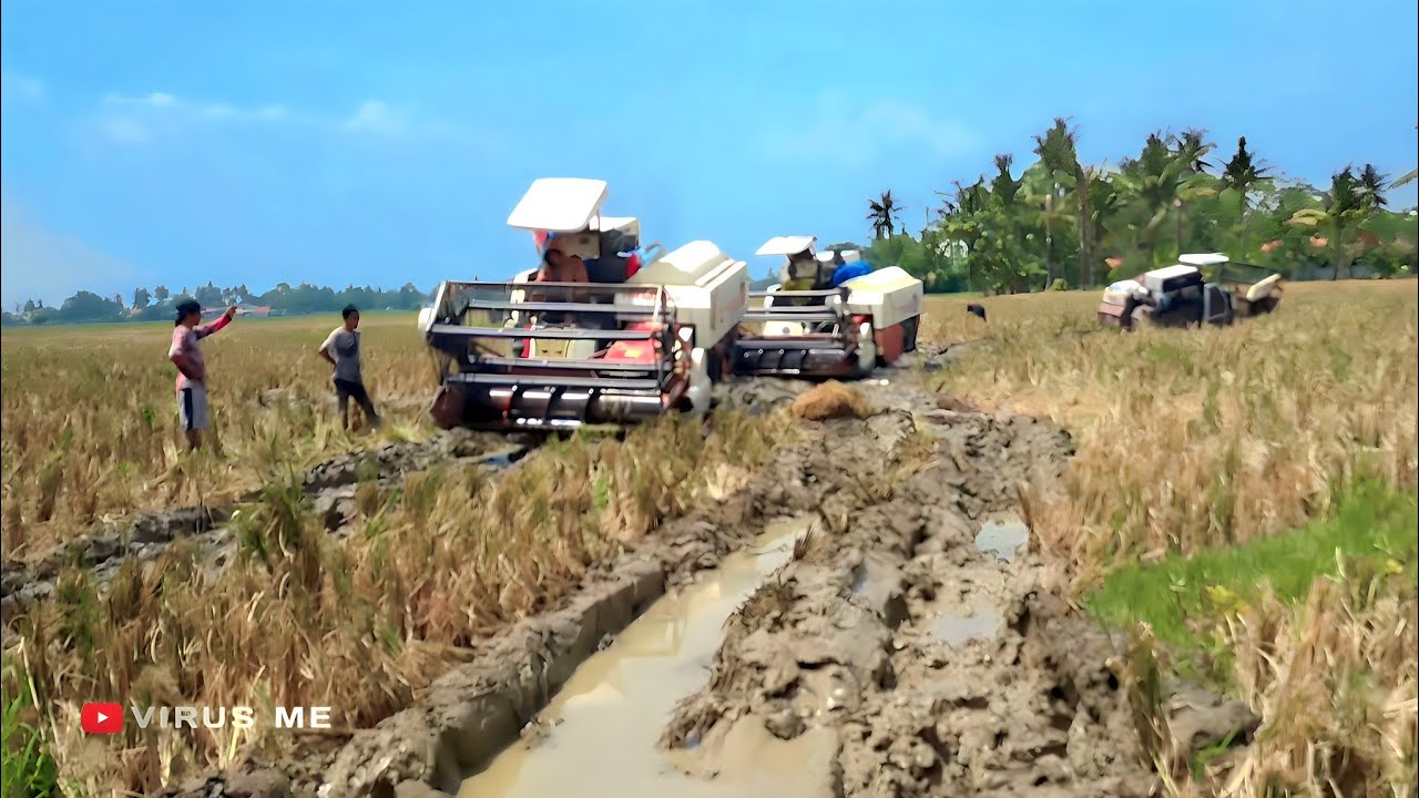 EVAKUASI DUA KOMBEN KEPETEL DI SATU SAWAH KOMBEN BIMO DAN COMBINE HD