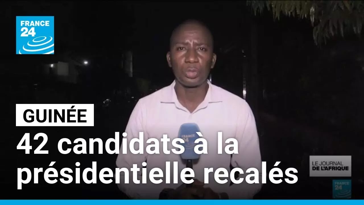Pr&eacute;sidentielle en Guin&eacute;e : les candidats recal&eacute;s d&eacute;noncent une man&oelig;uvre politique &bull; FRANCE 24