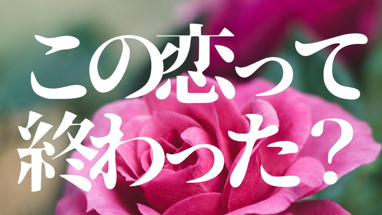 終わってません！！大丈夫🌈恋の現状深掘り🌸