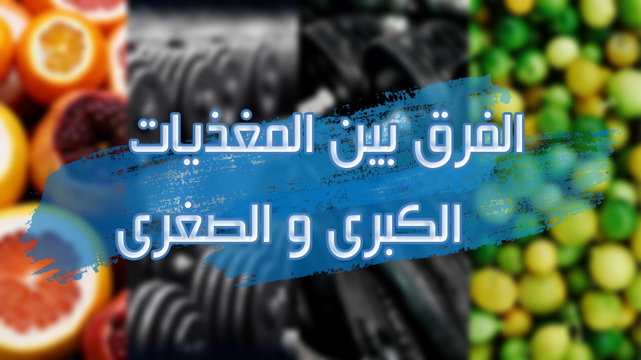 الفرق بين المغذيات الكبرى و الصغرى