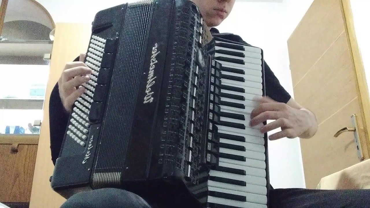 Nije mi sa njom ko što s'tobom beše Sinan Sakic harmonika cover instrumental