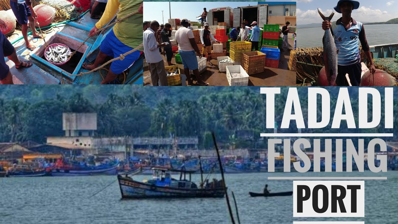 Tadadi Fishing Port || Uttara Kannada || Karnataka