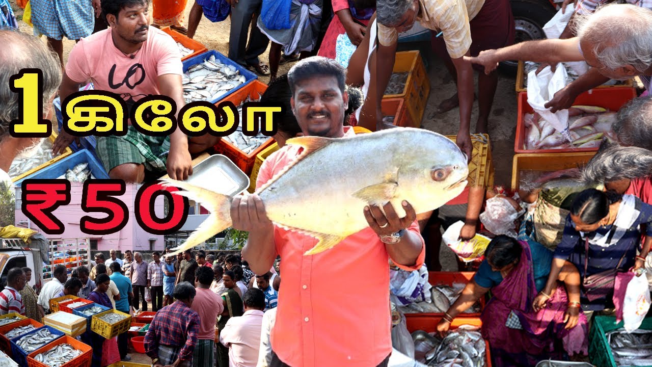 தாம்பரத்தில் காசிமேடு  மீன் மார்க்கெட் 💥 மீன் ஏலம்🔥vera ragam🤯 - VlovetoR