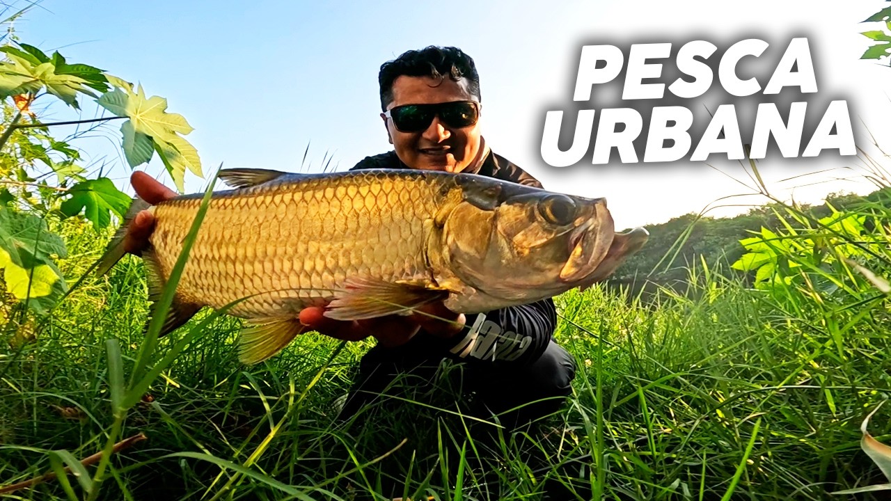PESCA URBANA: Lagunas Econdidas EN LA CIUDAD