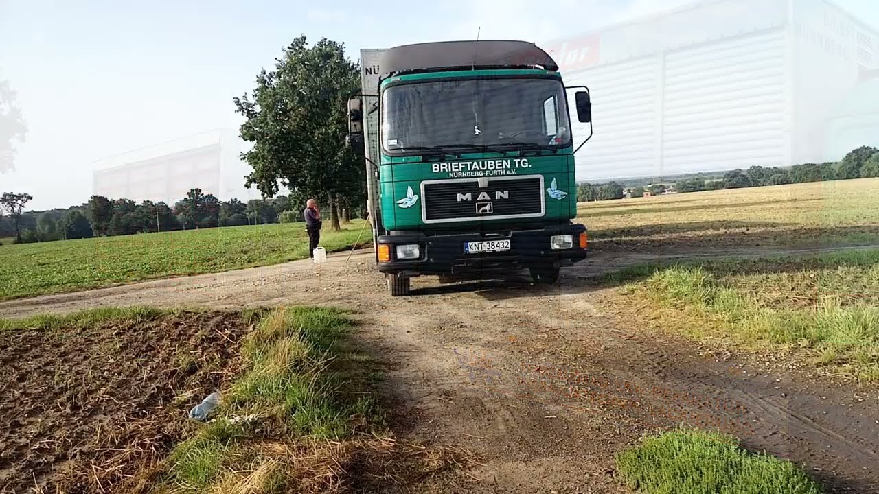 Gołębie Młode, Lot Sośnicowice - Nowy Targ 140km 25.08.2022