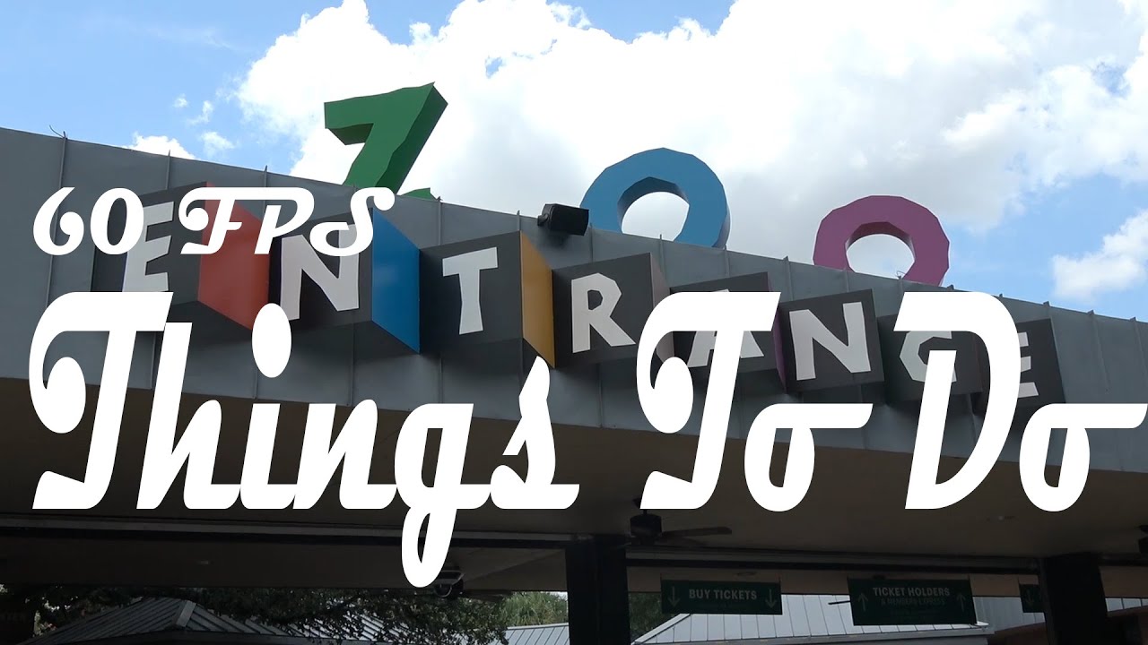Houston Zoo Tour & Review 2019 (Things To Do)