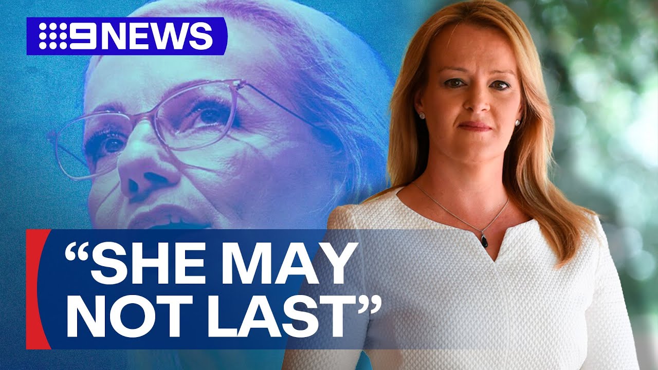 'She may not last': Sussan Ley's claim on top job under a cloud | 9 News Australia