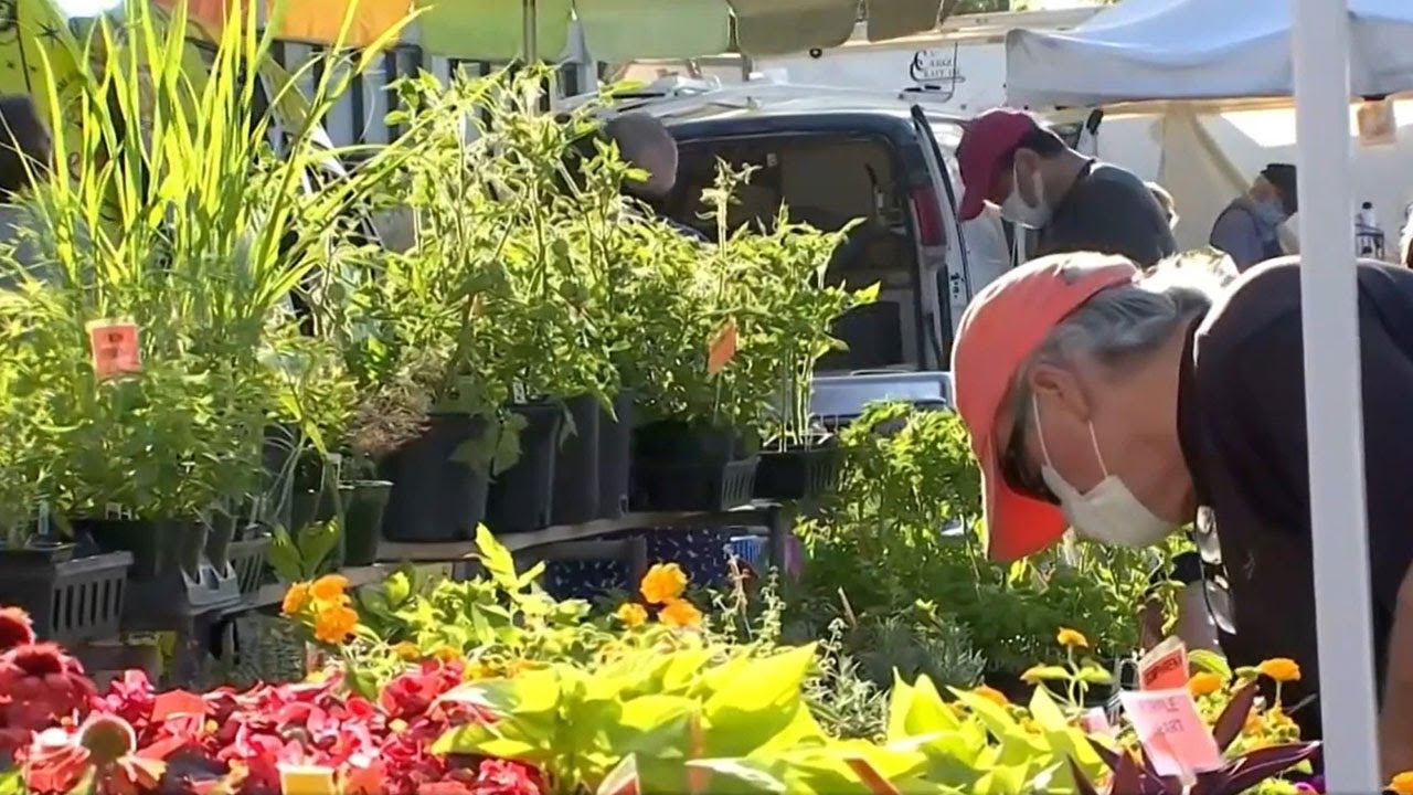 Tulsa Farmer's Market Opens For 26th Season Saturday