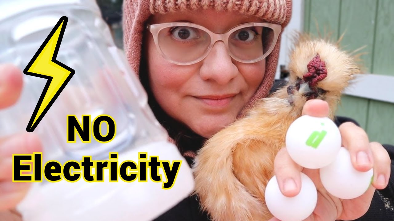 STOP Your Chickens&rsquo; Water from FREEZING with These Weird Hacks! 🐔🥶💯