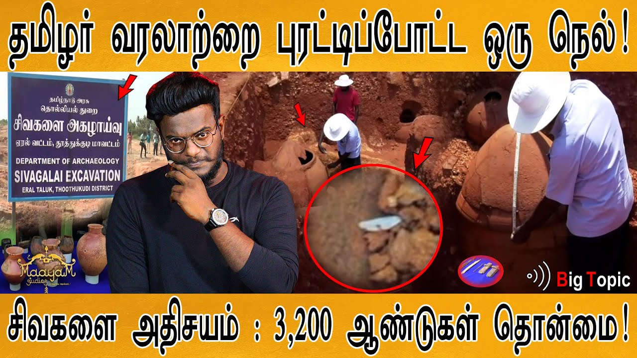 தமிழர் வரலாற்றை புரட்டிப்போட்ட ஒரு நெல் | சிவகளை அதிசயம் | Sivagalai | Keezhadi | Adichanallur | KMK